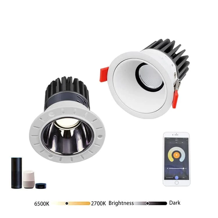 Lampu sorot DL-ZS boleh dihalakan dengan kawalan Zigbee 3.0